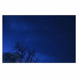 森泽佳奈人妻AVHD101
