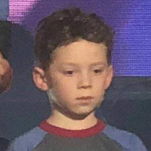 人马猪狗驴高清视频大全播放
