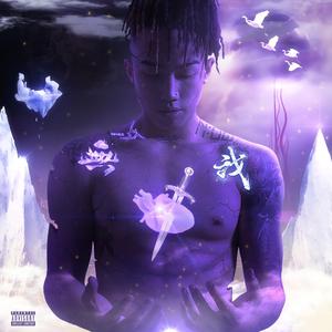 人马猪狗驴高清视频大全播放
