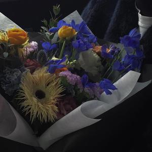 人马猪狗驴高清视频大全播放
