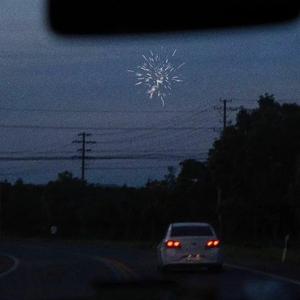 人马猪狗驴高清视频大全播放
