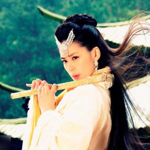 人马猪狗驴高清视频大全播放
